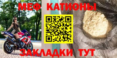 сатива Ставрополь