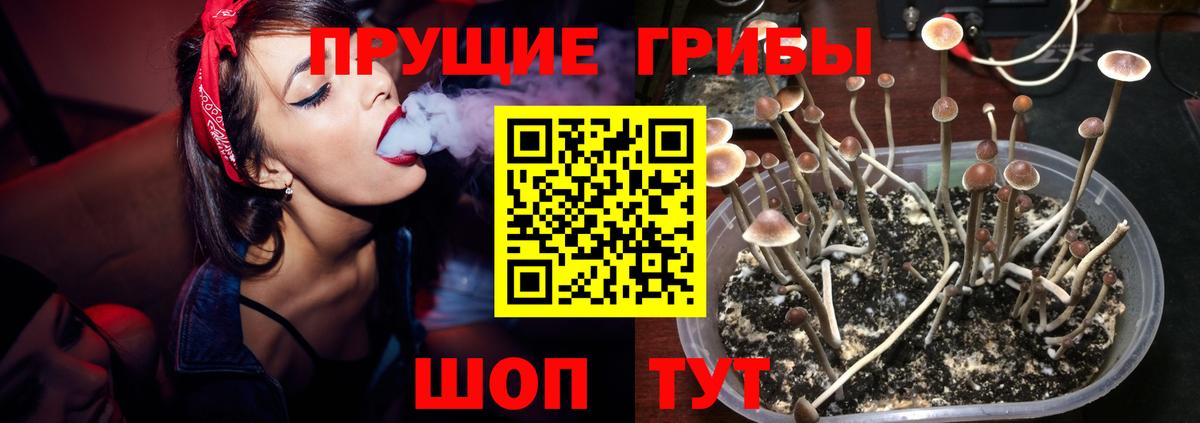 Новокубанск  Галлюциногенные грибы мицелий  Вход с VPN 