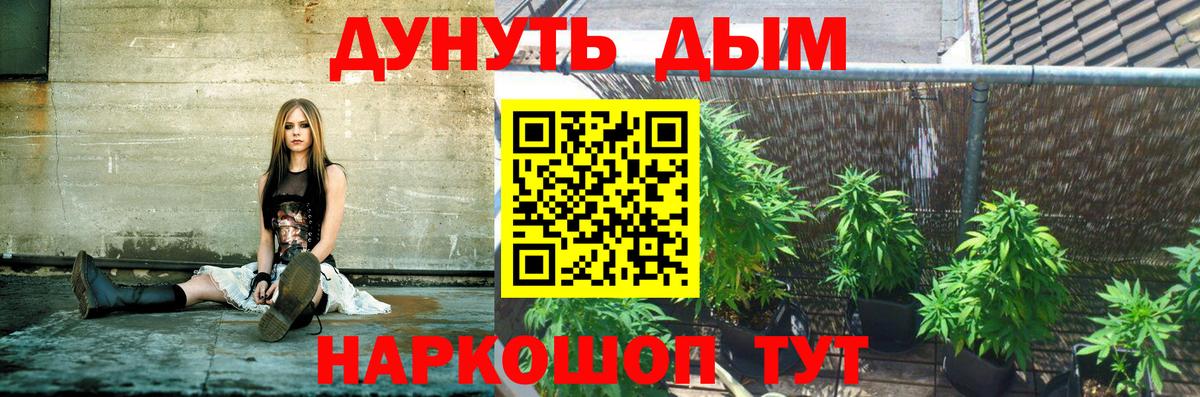 Марихуана семена Новокубанск